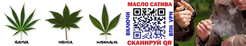 Купить  Петушки  Дистиллят ТГК THC oil 