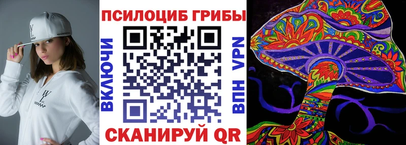 Купить где  Петушки  Псилоцибиновые грибы прущие грибы 